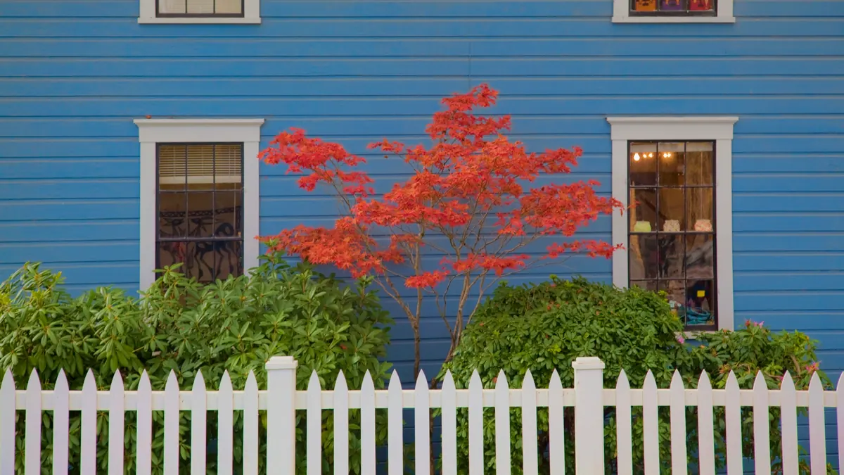 Row of wood-frame multi-family houses on a residential street in Chelsea, Massachusetts